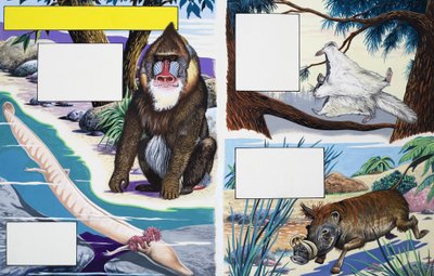 Animaux divers - English School