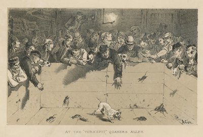 Au Turnspit - English School