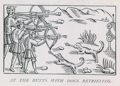 Aux cibles avec des chiens rapportant - English School