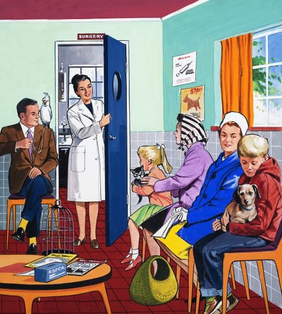 Chez le vétérinaire - English School