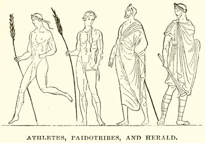 Athlètes, Paidotribes et Héraut - English School