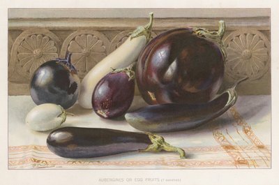 Aubergines ou fruits d