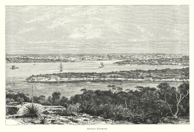 Australie : port de Sydney (gravure) - English School