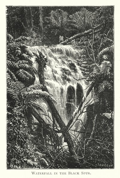 Australie : cascade dans le Black Spur (gravure) - English School
