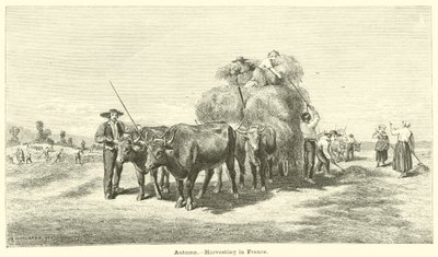 Automne, récolte en France - English School