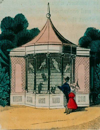 Volière pour perroquets et cacatoès au zoo de Londres. Années 1840 - English School