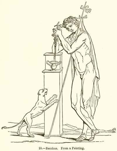 Bacchus - English School