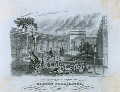 Bakers Pheasantry, Chelsea - English School