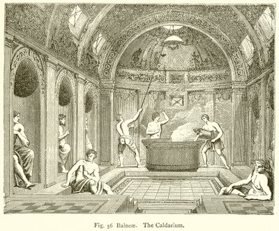 Balneae. Le Caldarium - English School