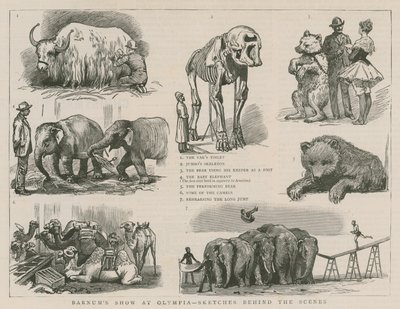Spectacle de Barnum à Olympia - croquis dans les coulisses - English School
