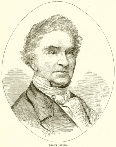 Baron Liebig - English School