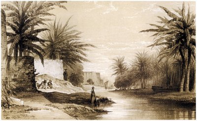 Bassorah - English School