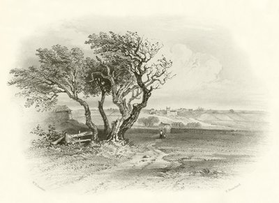 Champ de bataille de Prestonpans - English School