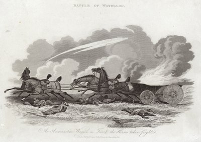 Bataille de Waterloo - English School