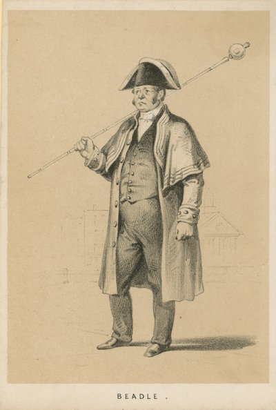 Bedeau - English School
