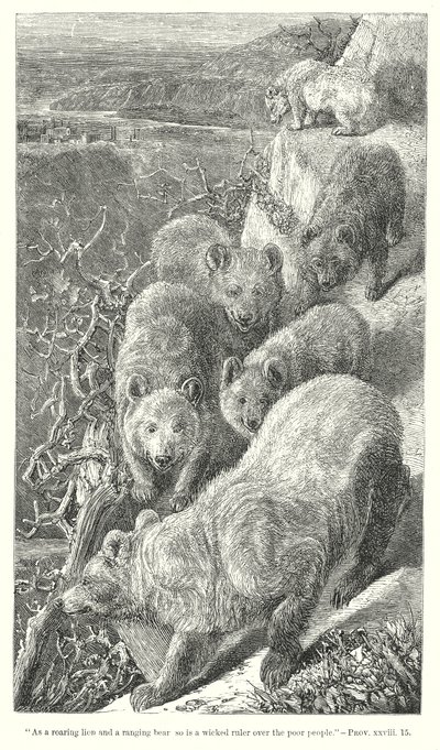 Ours (gravure) - English School