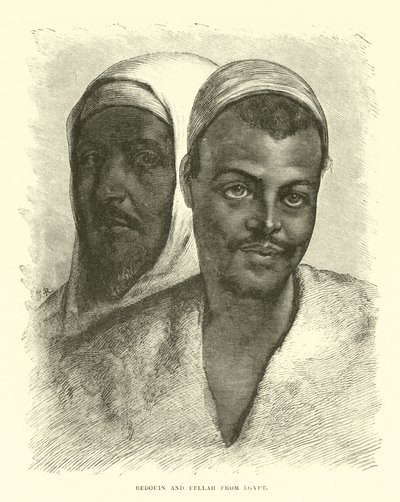 Bédouin et Fellah d