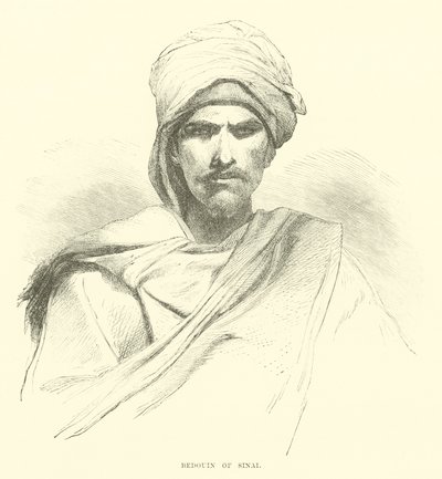 Bédouin du Sinaï - English School