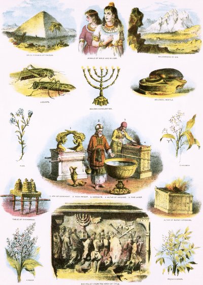 Illustrations bibliques - English School
