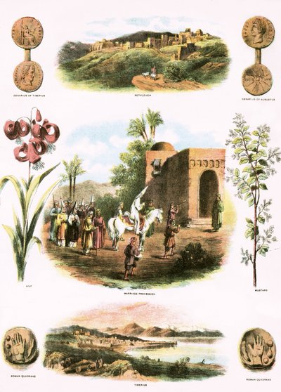 Illustrations bibliques - English School