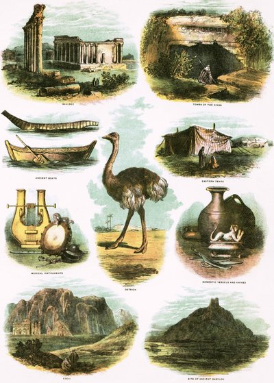 Illustrations bibliques - English School