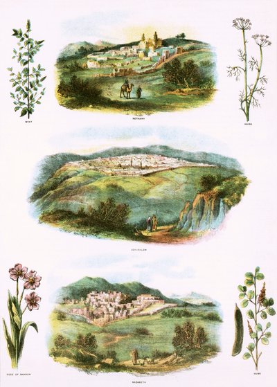 Illustrations bibliques - English School
