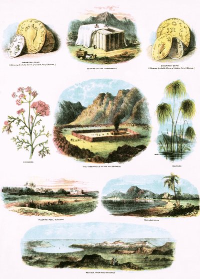 Illustrations bibliques - English School
