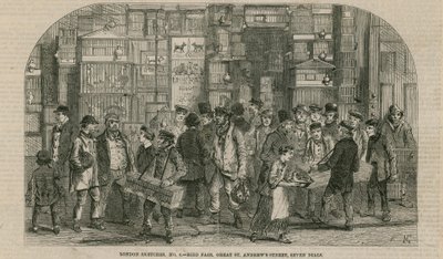 Foire aux oiseaux, Great St Andrews Street, Seven Dials, Londres - English School
