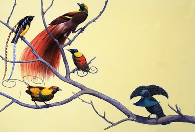 Oiseaux de paradis - English School