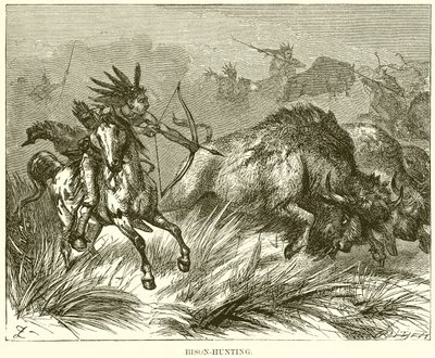 Chasse au bison - English School