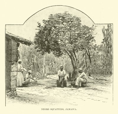 Squatters noirs, Jamaïque - English School