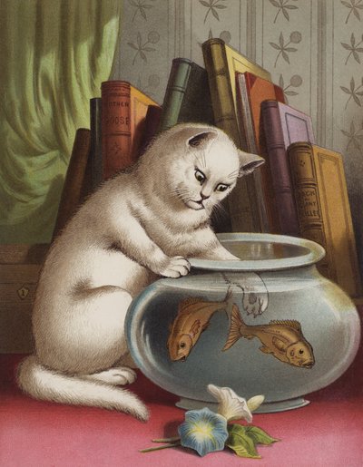 Blanchie et le poisson rouge - English School