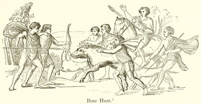 Chasse au Sanglier - English School