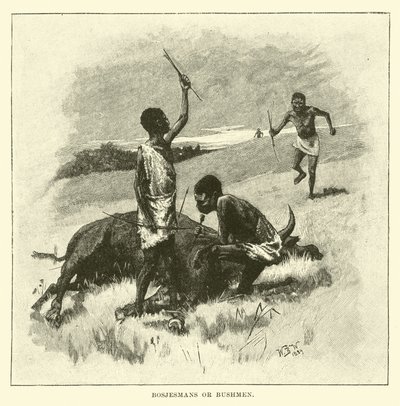 Bosjesmans ou Bushmen - English School