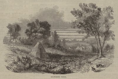 Champ de Bosworth - English School