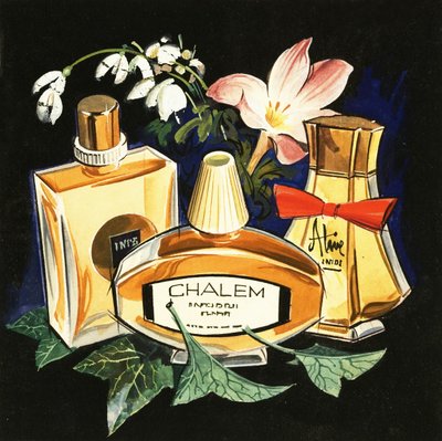 Bouteilles de parfum - English School