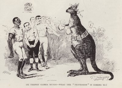 Kangourou boxeur - English School
