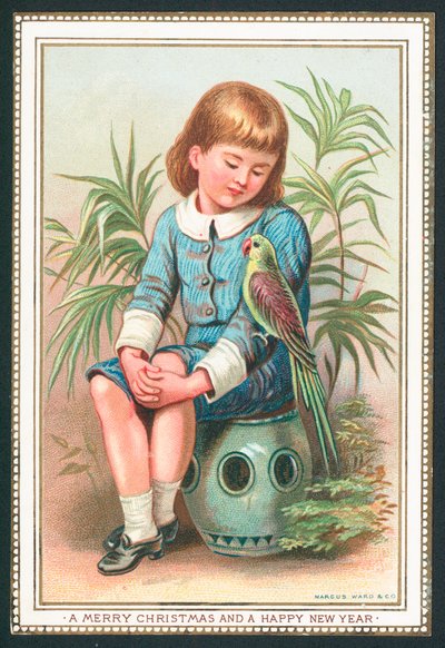 Garçon assis avec un oiseau exotique sur le bras - English School