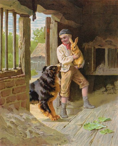 Garçon avec un chien et un lapin dans une ferme - English School