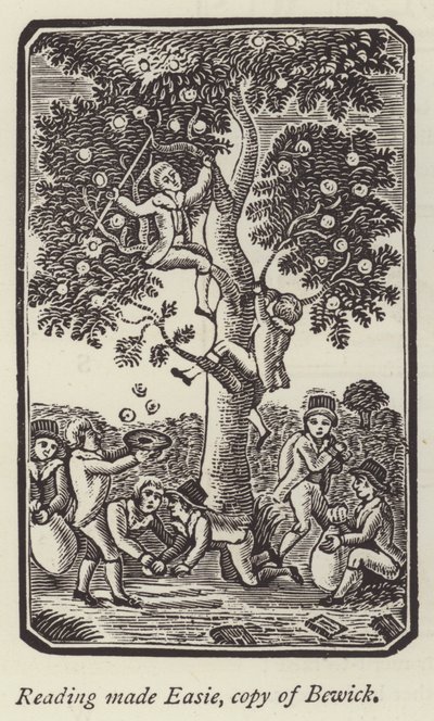 Garçons cueillant des pommes - English School