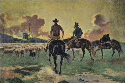 Ramener les moutons - English School
