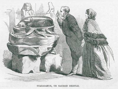 British Museum : Scarabée ou scarabée sacré (gravure) - English School