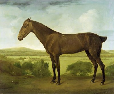 Cheval brun dans un paysage vallonné, c.1780-1800 - English School