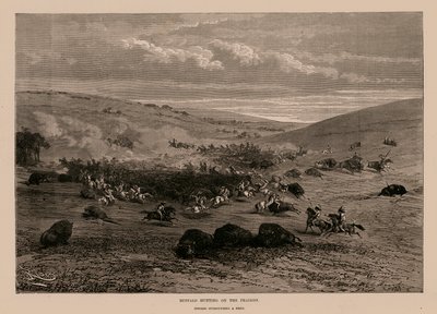 Chasse au bison dans les prairies (gravure) - English School