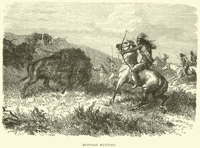 Chasse au bison - English School