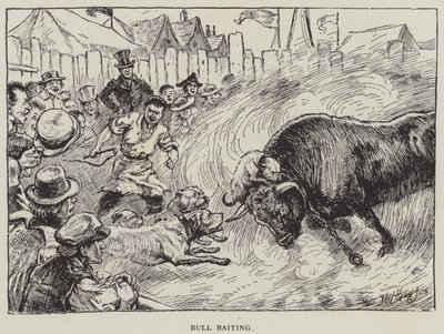Combat de taureaux - English School