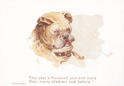 Bouledogue et ombre - English School
