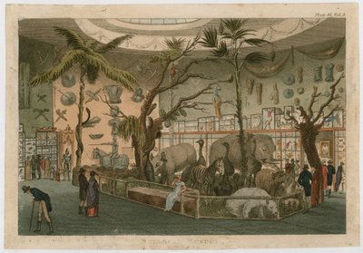 Musée Bullocks - English School