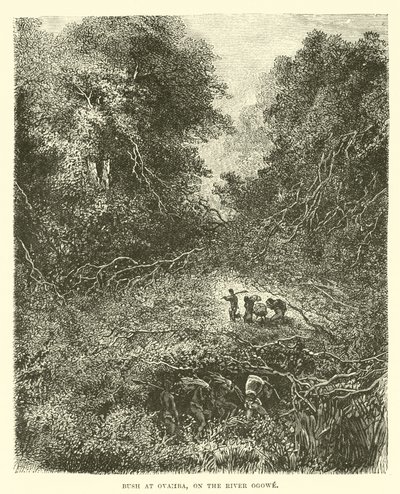 Brousse à Ovamba, sur la rivière Ogowe - English School