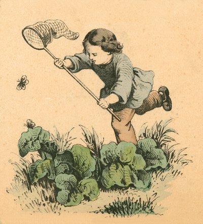 Papillonnage - English School